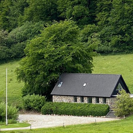 Stenhuset I Pilbrodalen Skanderborg Dış mekan fotoğraf